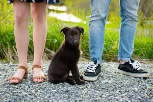 Timmins wedding and engagement photography photographer